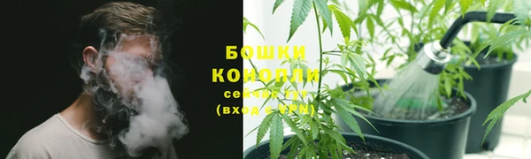 ПСИЛОЦИБИНОВЫЕ ГРИБЫ Алексин