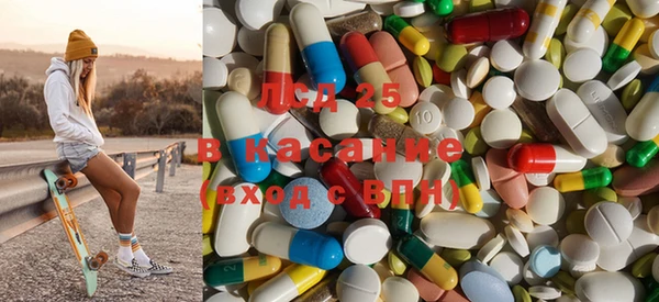 ПСИЛОЦИБИНОВЫЕ ГРИБЫ Алексин